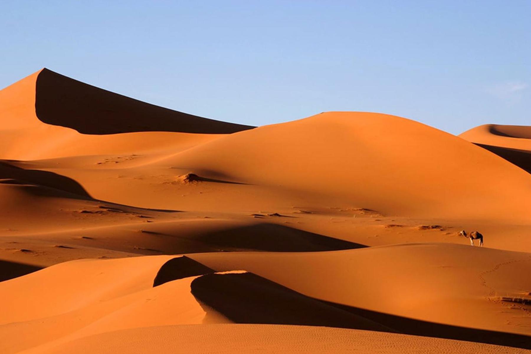 Desert Chegaga Luxury Camp El Gouera Экстерьер фото