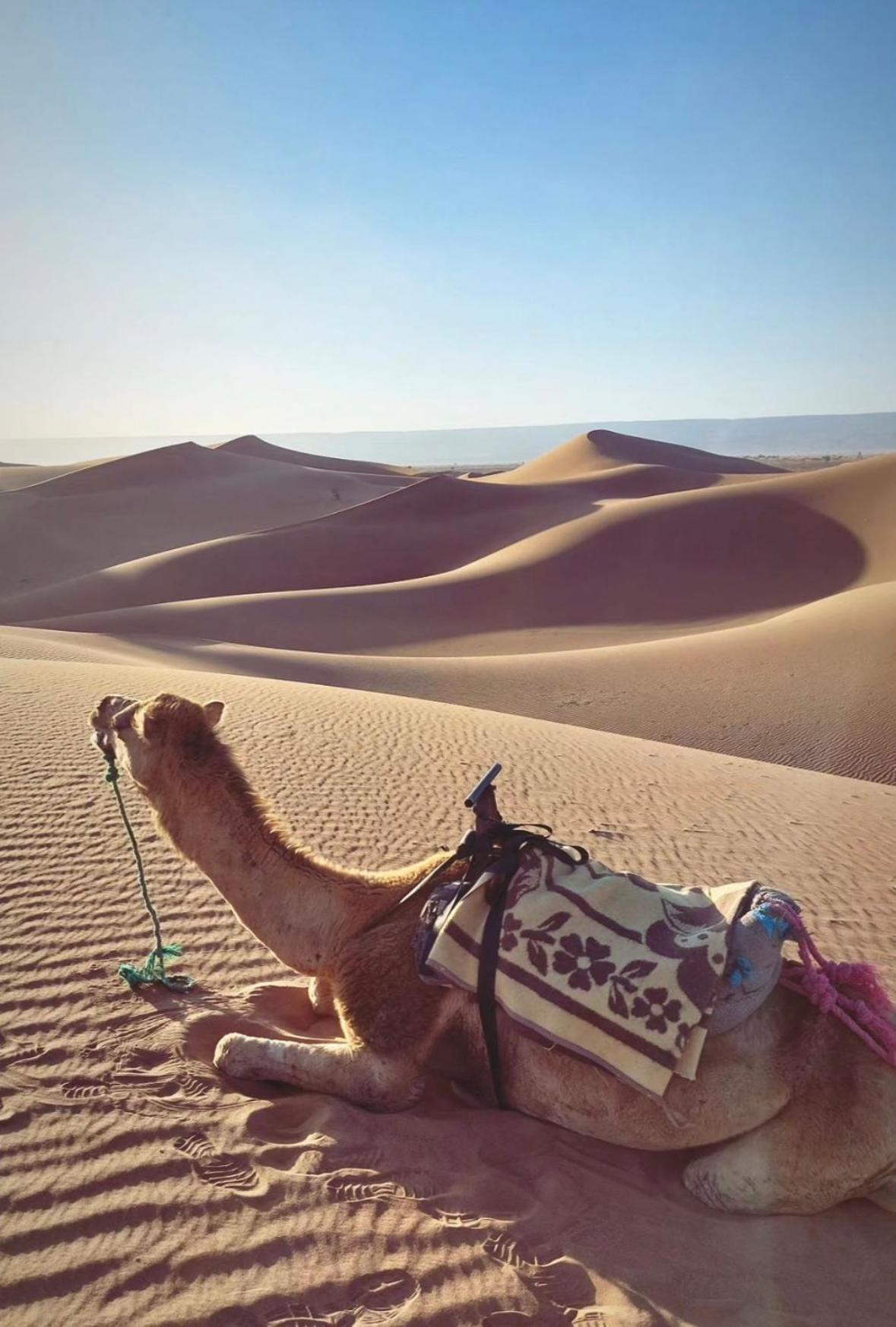 Desert Chegaga Luxury Camp El Gouera Экстерьер фото